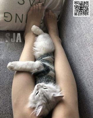 强行入侵粗暴未婚妻_西瓜视频在线观看